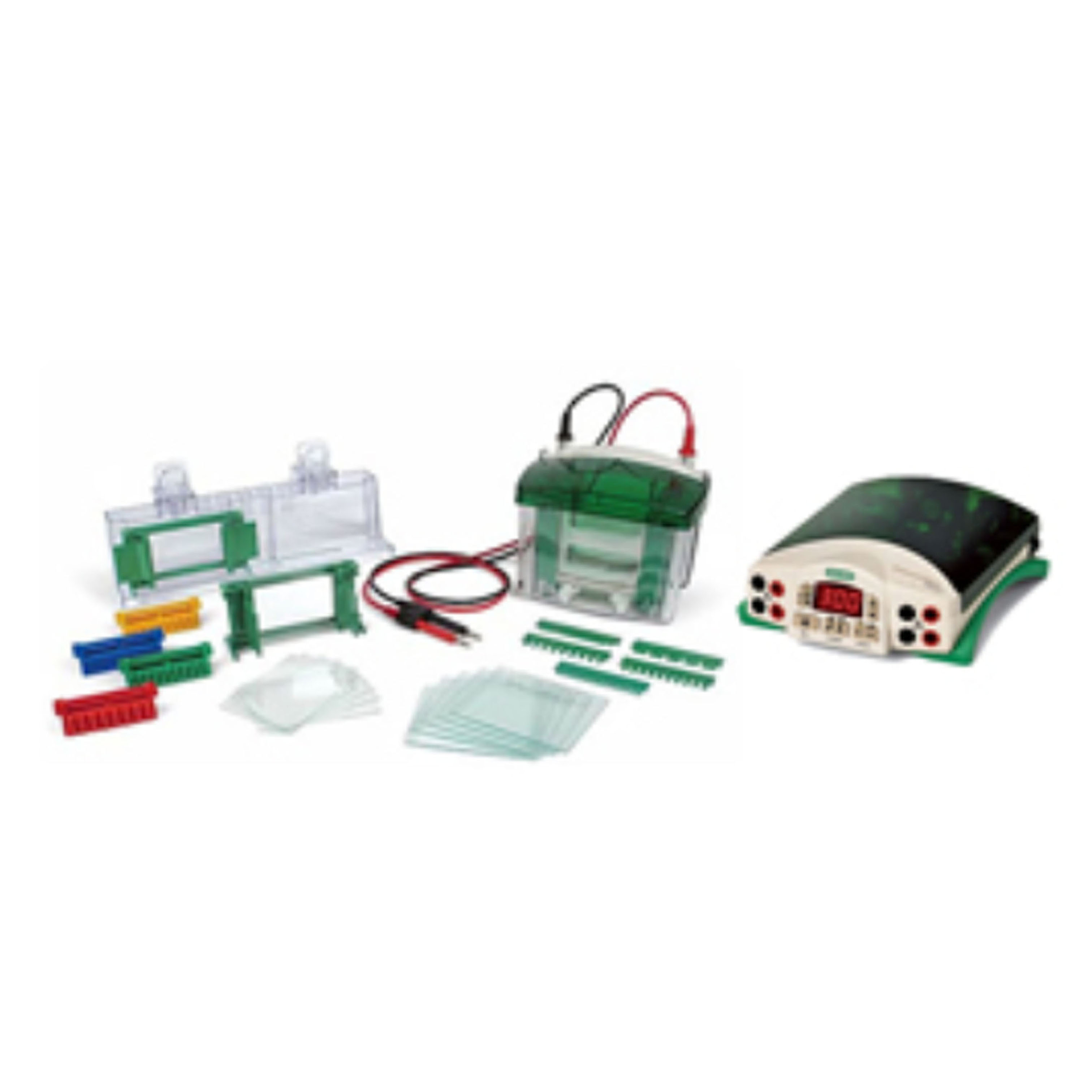 Mini-PROTEAN® Tetra 电泳槽、Mini Trans-Blot® 模块和 PowerPac™ 基本电源 Mini-PROTEAN® Tetra Cell, Mini Trans-Blot® Module, and PowerPac™ Basic Power Supply